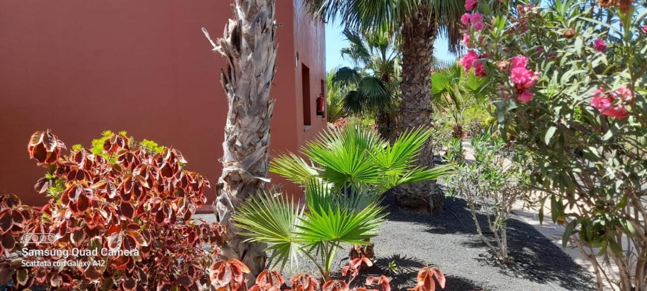 Corralejo Happy Place, precioso apartamento con piscina Exterior foto
